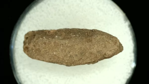 Genuine Permian Age Reptile Coprolite Fossil for Sale from Texas #46a