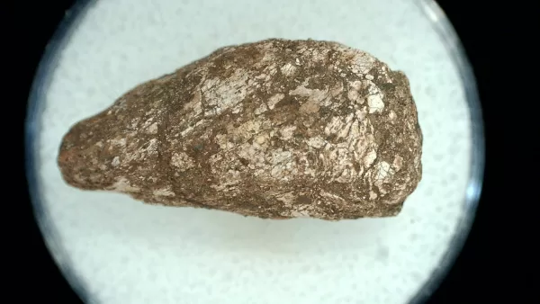 Genuine Permian Age Reptile Coprolite Fossil for Sale from Texas #59a