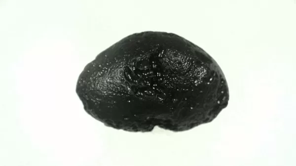 Genuine Black Tibetan Tektite For Sale from Asia #39