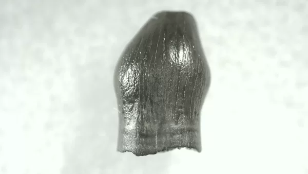 Genuine Cretaceous Age Thescelosaurus Dinosaur Tooth For Sale From South Dakota #62a