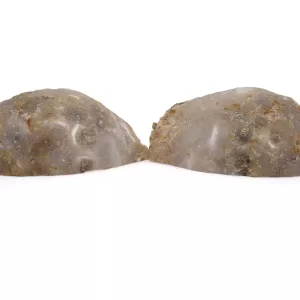 Genuine Jurassic Age Brazilian Geode Pair For Sale from Brazil #13