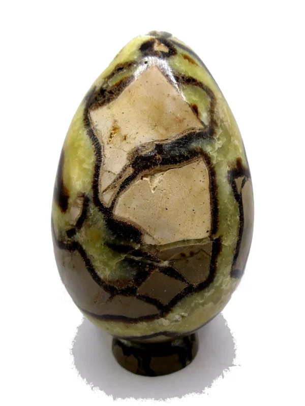 Genuine Jurassic Age Polished Septarian Egg Mineral For Sale from Madagascar #3b