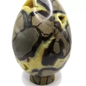 Genuine Jurassic Age Polished Septarian Egg Mineral For Sale from Madagascar #6