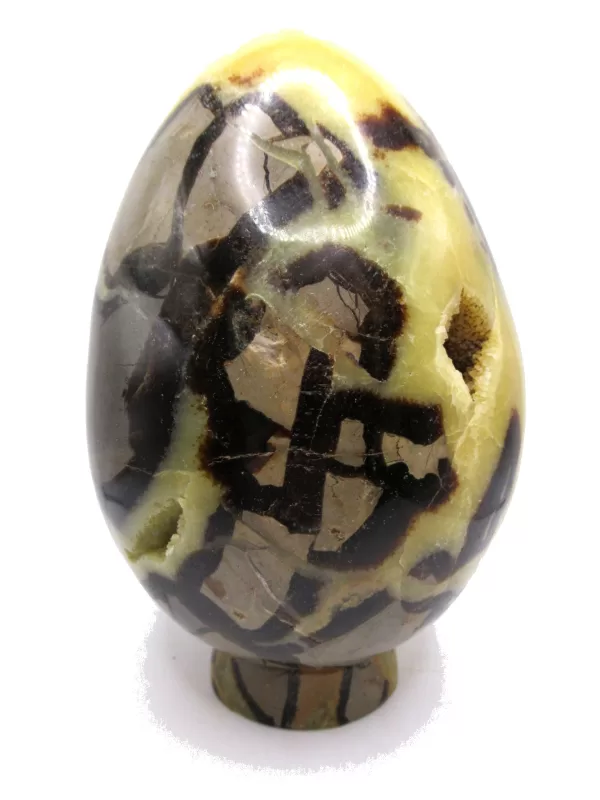 Genuine Jurassic Age Polished Septarian Egg Mineral For Sale from Madagascar #6b