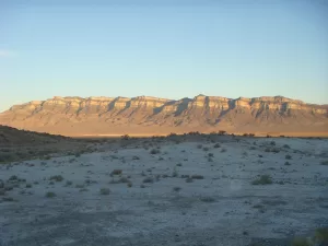 Bolaspidella Utah Trilobite