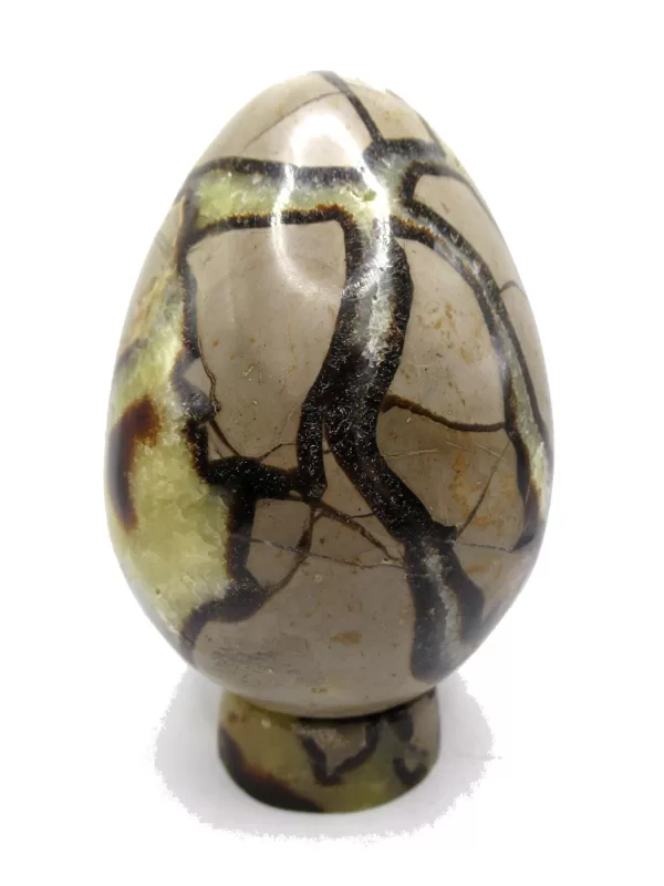 Genuine Jurassic Age Polished Septarian Egg Mineral For Sale from Madagascar #2b