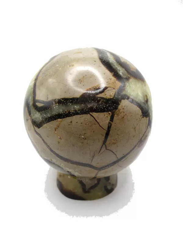 Genuine Jurassic Age Polished Septarian Egg Mineral For Sale from Madagascar #2c