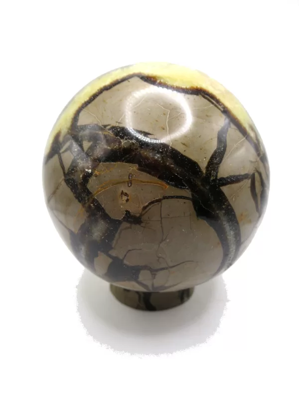 Genuine Jurassic Age Polished Septarian Egg Mineral For Sale from Madagascar #3d