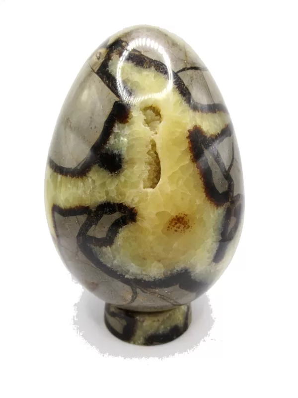 Genuine Jurassic Age Polished Septarian Egg Mineral For Sale from Madagascar #4