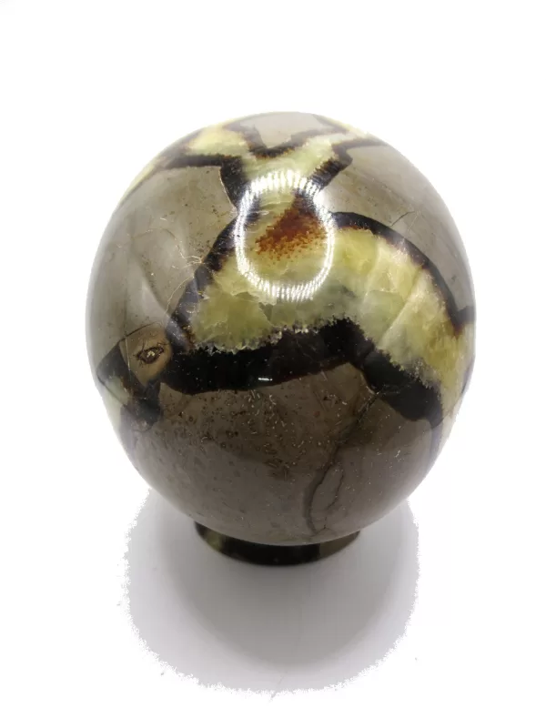 Genuine Jurassic Age Polished Septarian Egg Mineral For Sale from Madagascar #4d