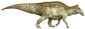 Edmontosaurus Dinosaur Ungual