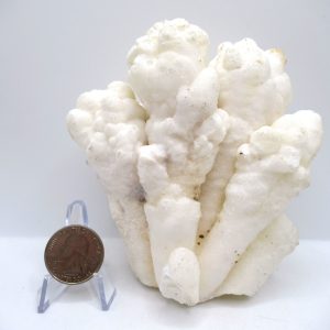 Genuine Calcite Specimen for Sale from North Africa #21