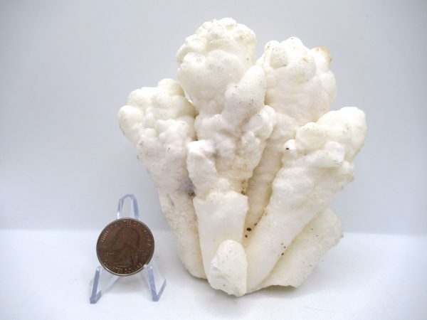 Genuine Calcite Specimen for Sale from North Africa #21