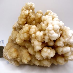 Genuine Calcite Specimen for Sale from North Africa #23