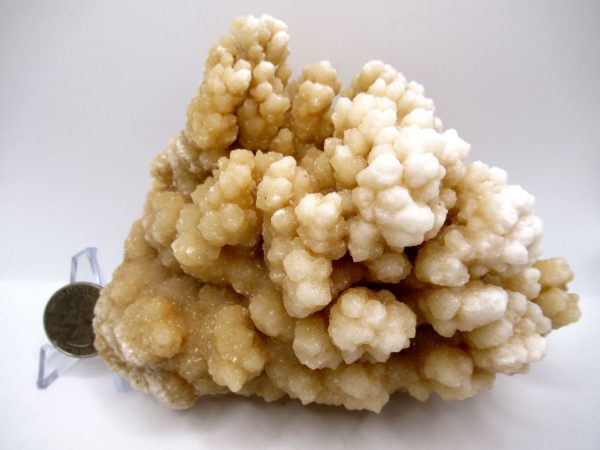 Genuine Calcite Specimen for Sale from North Africa #23