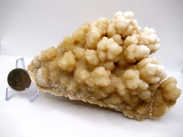 Genuine Calcite Specimen for Sale from North Africa #23a