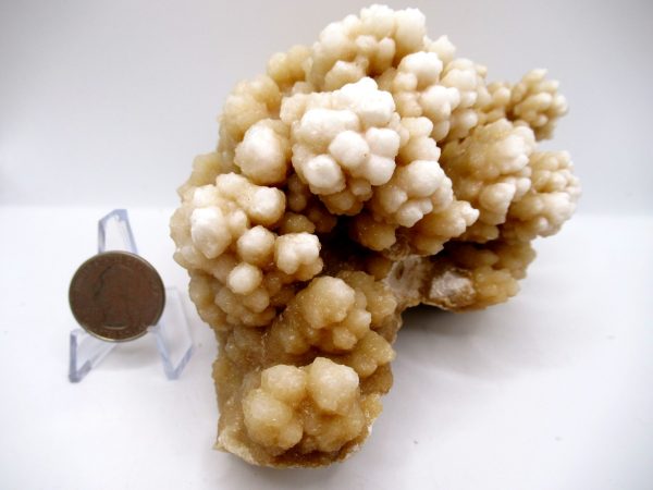 Genuine Calcite Specimen for Sale from North Africa #23b