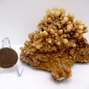 Genuine Calcite Specimen for Sale from North Africa #19