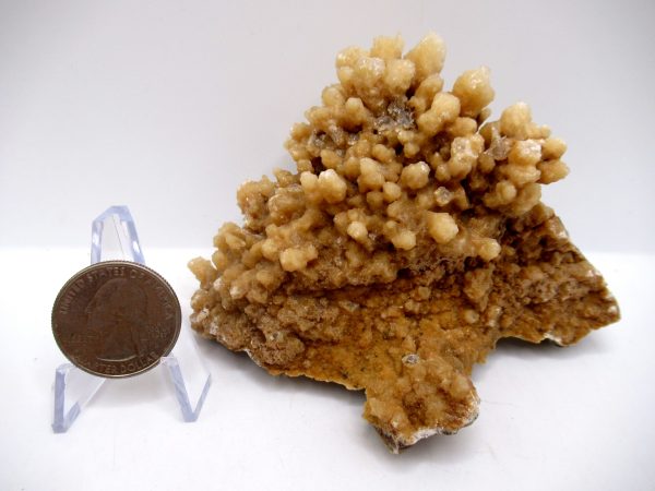 Genuine Calcite Specimen for Sale from North Africa #19