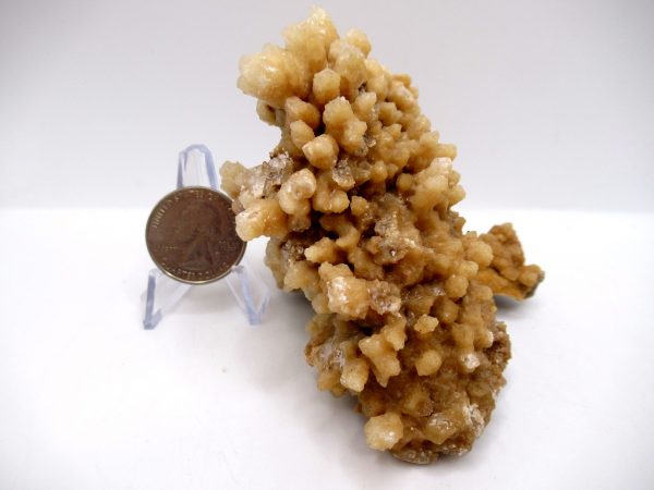 Genuine Calcite Specimen for Sale from North Africa #19a