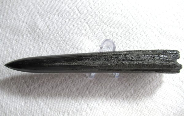 Genuine Miocene Age Swordfish Upper Rostrum Fossils for Sale from S. Carolina #6b