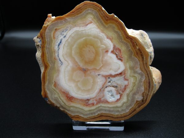 Genuine Aragonite Stalactite Slice (Travertine) Mineral for Sale from Morocco #2