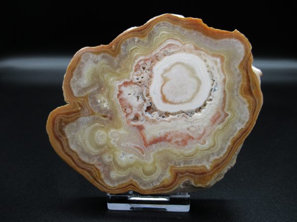 Genuine Aragonite Stalactite Slice (Travertine) Mineral for Sale from Morocco #2a