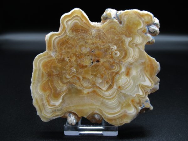 Genuine Aragonite Stalactite Slice (Travertine) Mineral for Sale from Morocco #3