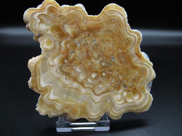 Genuine Aragonite Stalactite Slice (Travertine) Mineral for Sale from Morocco #3a