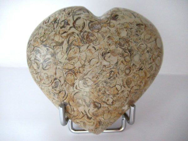 General Fossil Hash Polished Mineral Heart For Sale #1