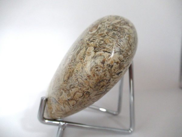 General Fossil Hash Polished Mineral Heart For Sale #1b