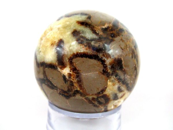 General Septarian Sphere Mineral From Madagascar For Sale #10