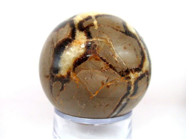 General Septarian Sphere Mineral From Madagascar For Sale #10b