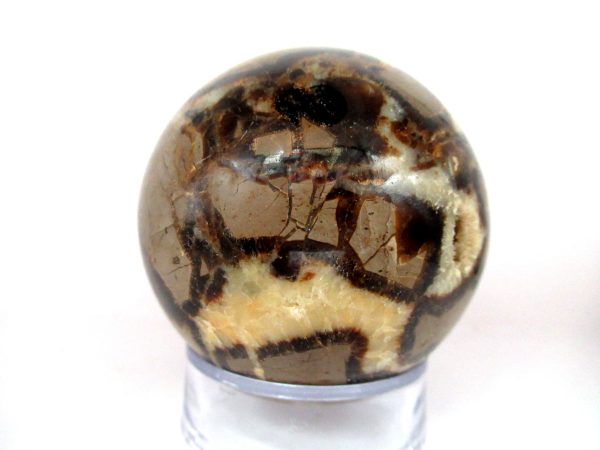 General Septarian Sphere Mineral From Madagascar For Sale #10c