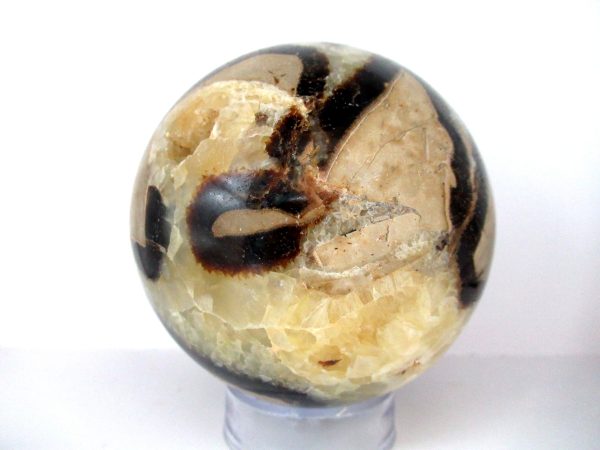 General Septarian Sphere Mineral From Madagascar For Sale #17