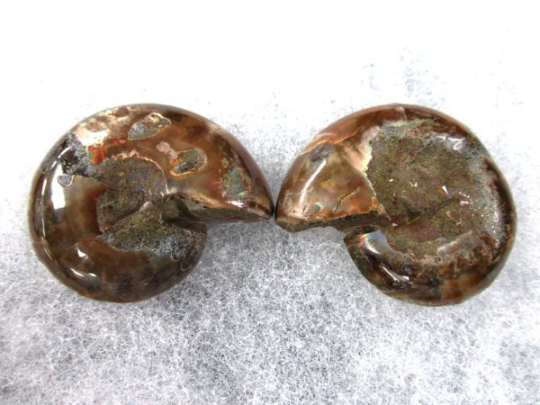 General Cretaceous Age Ammonite Pair Fossils From Madagascar For Sale #63a