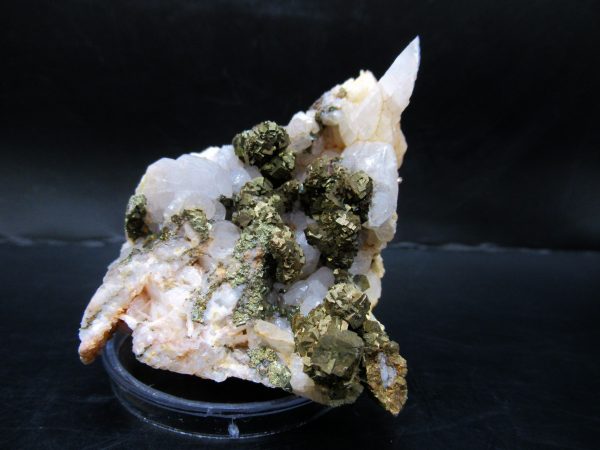 Genuine Pyrite on Quartz Mineral for Sale from Morocco #1