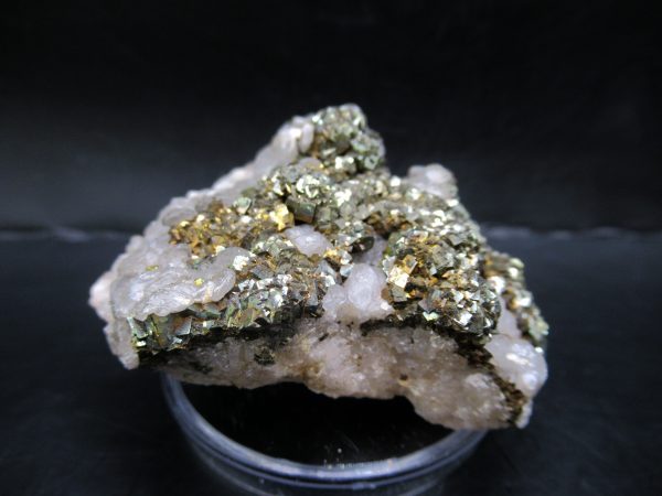 Genuine Pyrite on Quartz Mineral for Sale from Morocco #2