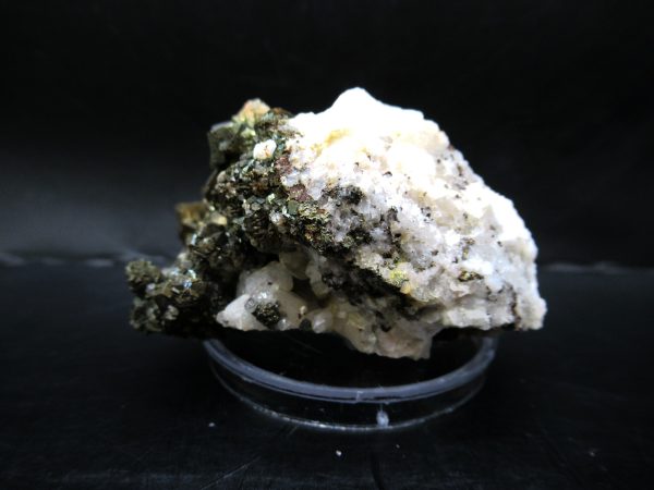 Genuine Pyrite on Quartz Mineral for Sale from Morocco #4a