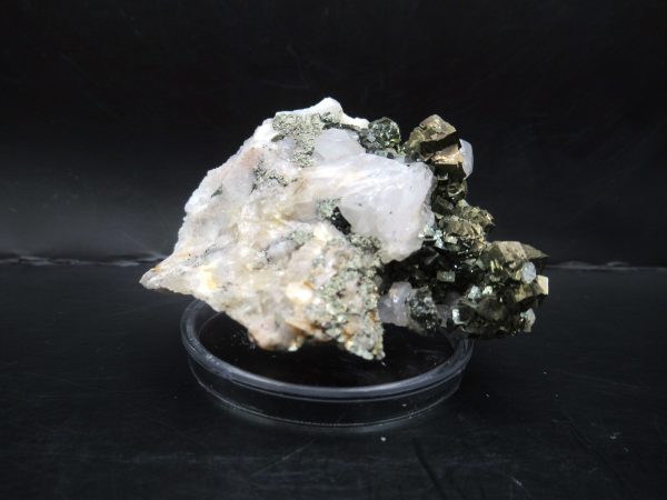 Genuine Pyrite on Quartz Mineral for Sale from Morocco #4c