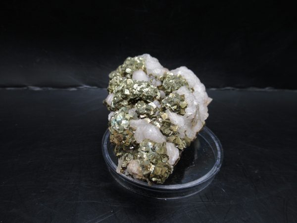 Genuine Pyrite on Quartz Mineral for Sale from Morocco #5a