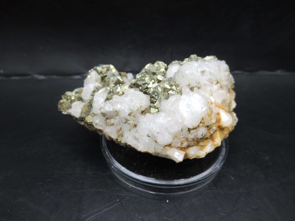 Genuine Pyrite on Quartz Mineral for Sale from Morocco #5b