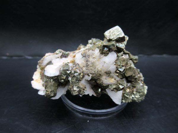 Genuine Pyrite on Quartz Mineral for Sale from Morocco #6