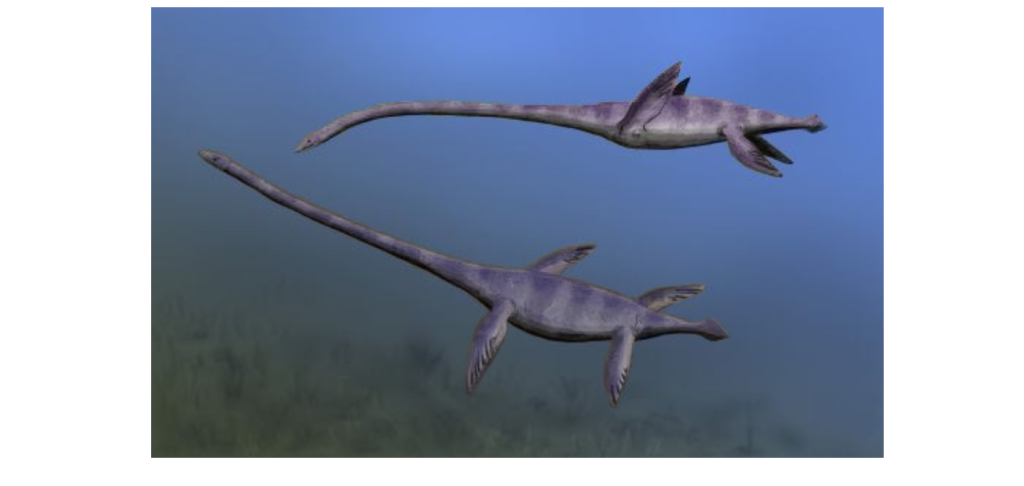 Elasmosaurus