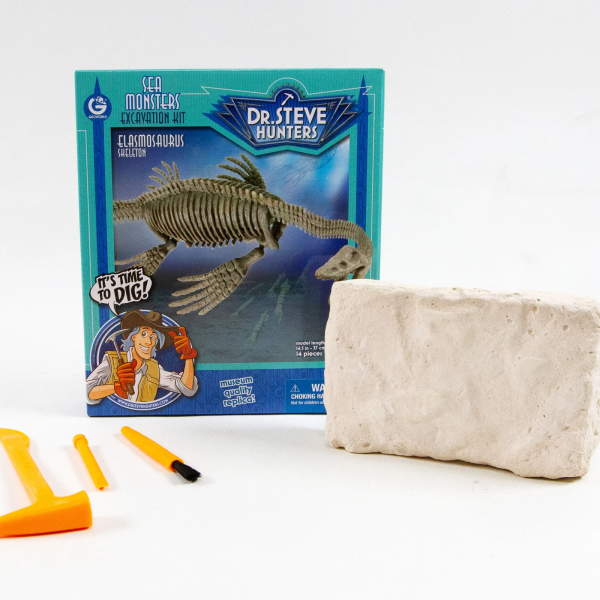 Elasmosaurus Excavation Kit For Sale #2