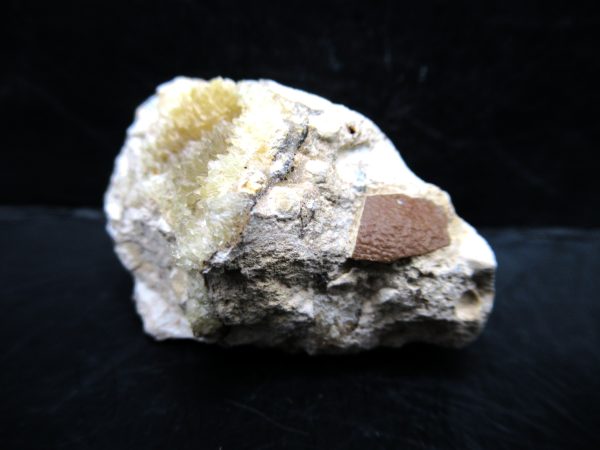 Genuine Eocene Age Fossil Bird Egg Shell From France For Sale #1