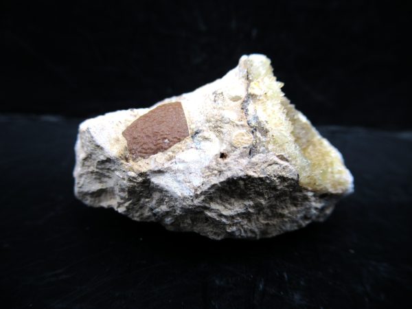 Genuine Eocene Age Fossil Bird Egg Shell From France For Sale #1a