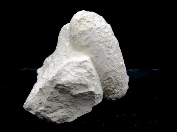 Genuine Eocene Age Fossil Crocodile Egg From France For Sale #50b