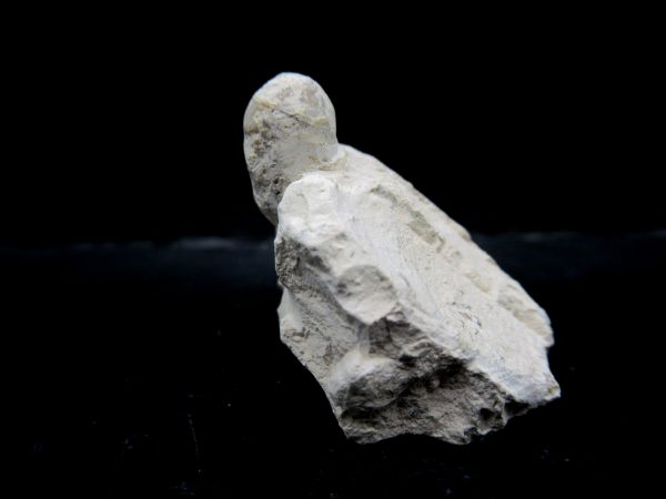 Genuine Eocene Age Fossil Snake Egg From France For Sale #34a