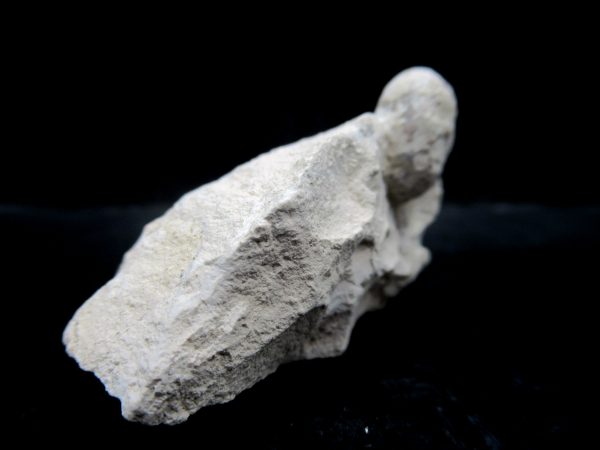 Genuine Eocene Age Fossil Snake Egg From France For Sale #34b